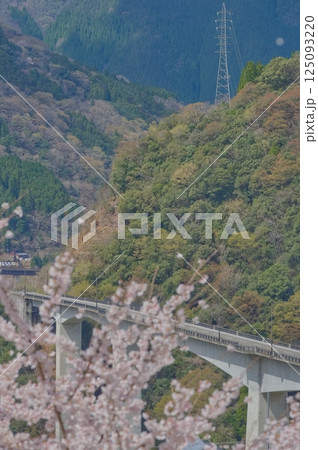 川辺川に架かる大橋 125093220