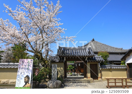 飛鳥寺　満開の桜と正門 125093509