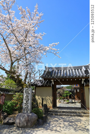 飛鳥寺　満開の桜と正門 125093512
