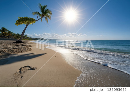 Tranquil tropical beach with palm tree and bright sunlit sky Tranquil tropical beach with palm tree and bright sunlit sky 125093653