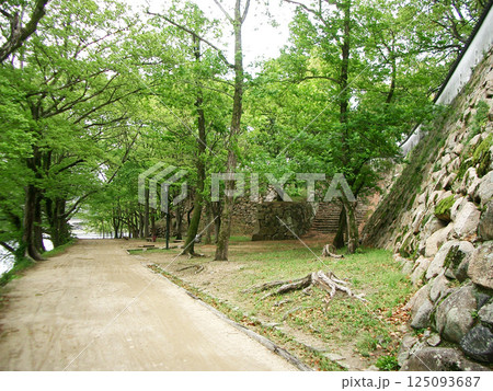 岡山県の岡山城（烏城）の六十一雁木門横の石塁跡 125093687