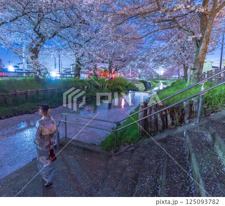 花筏が浮かぶ川越新河岸川の桜ライトアップとミドルの着物の女性 125093782