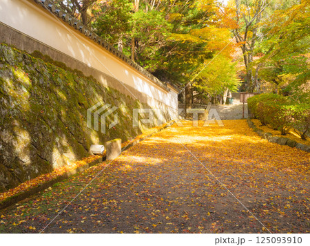 イチョウの落ち葉が敷き詰められた参道(播州清水寺) イチョウの落ち葉が敷き詰められた参道(播州清水寺) 125093910
