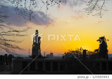 高崎市　慈眼寺　枝垂桜と夕空 125093941