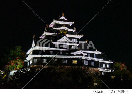 ライトアップされた岡山城天守閣 125093963