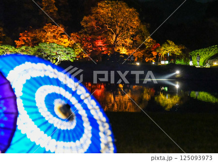 和傘の向こうに見える岡山後楽園のライトアップされた木々 125093973