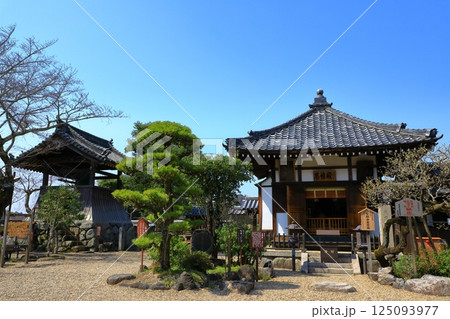 飛鳥寺 聖観世音菩薩 飛鳥寺 聖観世音菩薩 125093977