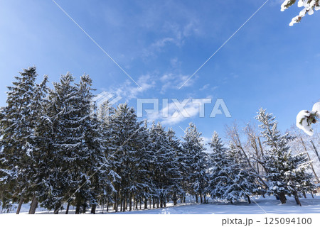 雪景色 125094100