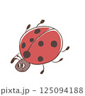 てんとう虫 125094188
