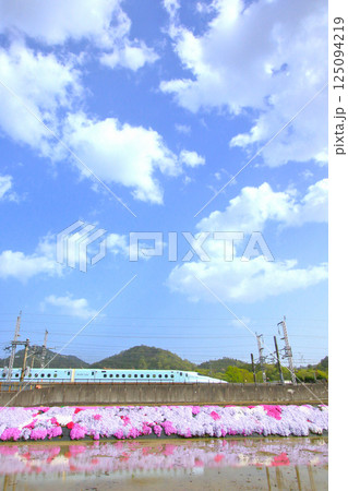 春をゆく新幹線さくら号 125094219