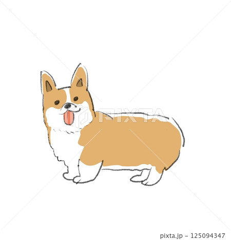 コーギー 125094347