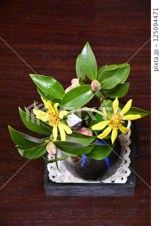 小さな生け花　光と影 125094471