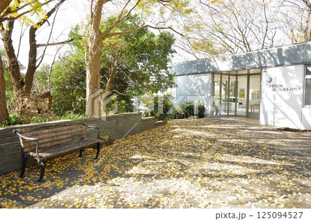 三ツ沢公園 125094527