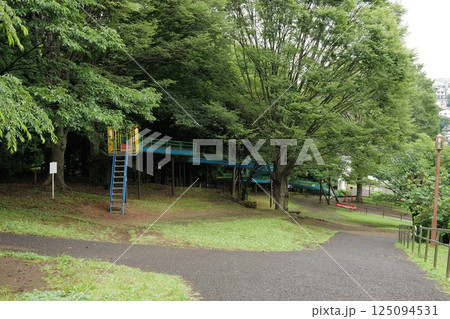 三ツ沢公園 125094531
