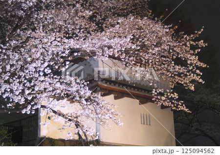 高崎市 城址公園 お堀の夜桜 125094562