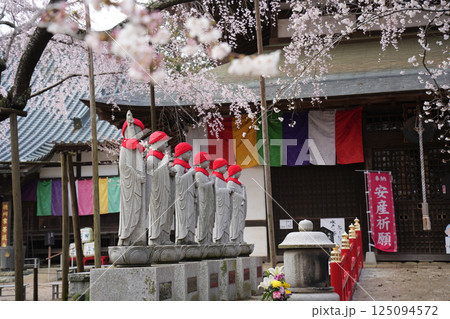 水戸大師六地蔵寺 桜 水戸大師六地蔵寺 桜 125094572