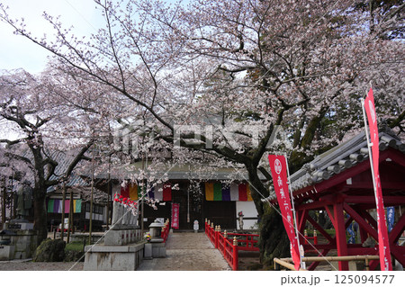 水戸大師六地蔵寺　桜 125094577