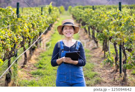 Asian winegrower working in vineyard 125094642