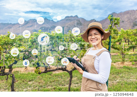 Smart vineyard system with winegrower working with digital graphic display 125094648