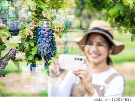 Smart vineyard system with asian winegrower with mobile augmented reality 125094655