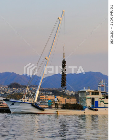 宮島 かきの水揚げ 宮島 かきの水揚げ 125094661