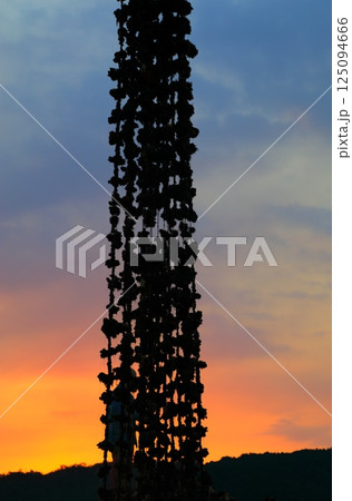 宮島　かきの水揚げ 125094666