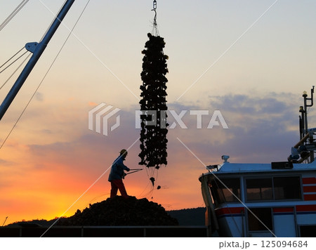 宮島　かきの水揚げ 125094684