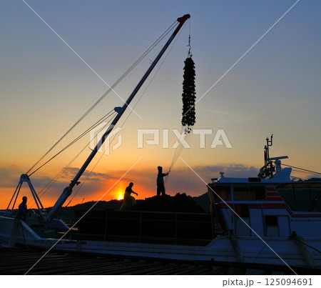 宮島 かきの水揚げ 宮島 かきの水揚げ 125094691