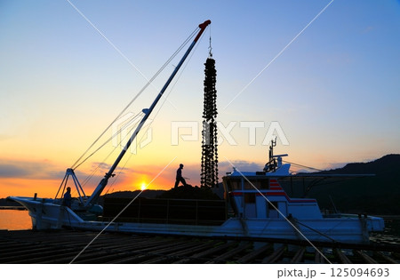 宮島　かきの水揚げ 125094693