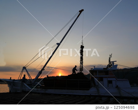 宮島　かきの水揚げ 125094698