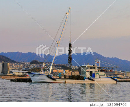 宮島　かきの水揚げ 125094703