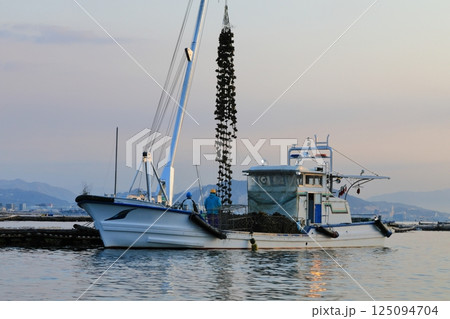 宮島 かきの水揚げ 宮島 かきの水揚げ 125094704