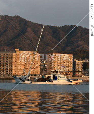 宮島　かきの水揚げ 125094714