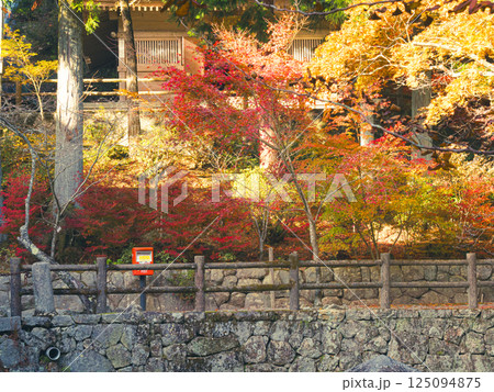 紅葉と赤い郵便ポスト（播州清水寺の境内） 125094875