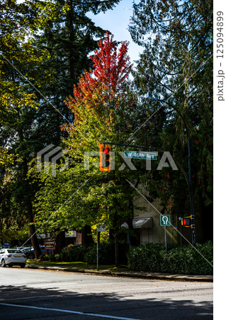 カナダバンクーバーの交差点 カナダバンクーバーの交差点 125094899