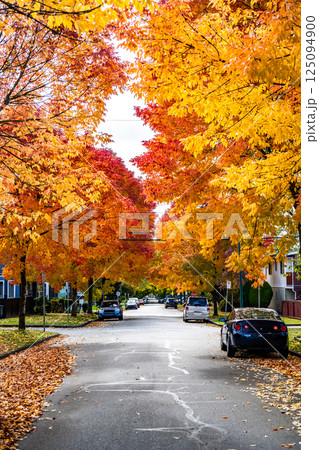 カナダバンクーバーの秋の紅葉 カナダバンクーバーの秋の紅葉 125094900