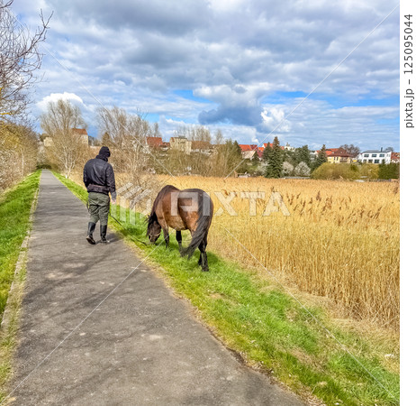Man walking horse on countryside path beside field and village view. High quality photo Man walking horse on countryside path beside field and village view. High quality photo 125095044