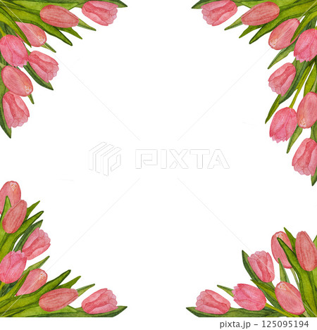 Round frame of blooming pink tulips with green leaves hand painted in watercolor on white background 125095194