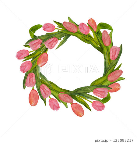 Wreath of blooming pink tulips with green leaves hand painted in watercolor on white background 125095217