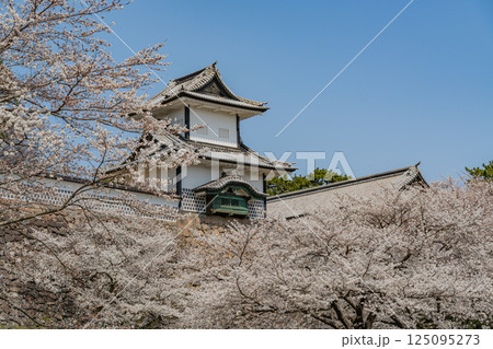 （石川県）金沢城　桜満開の石川門・石川櫓 125095273