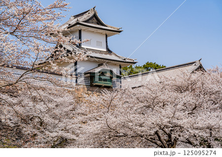 （石川県）金沢城　桜満開の石川門・石川櫓 125095274