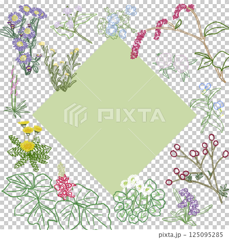 Wildflower frame illustration 125095285