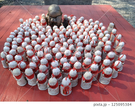 野間大坊 本殿 鐘楼堂 巡拝路 大門 悠紀殿 野間大坊 本殿 鐘楼堂 巡拝路 大門 悠紀殿 125095384