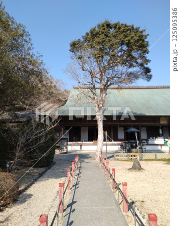 野間大坊　本殿　鐘楼堂　巡拝路　大門　悠紀殿 125095386