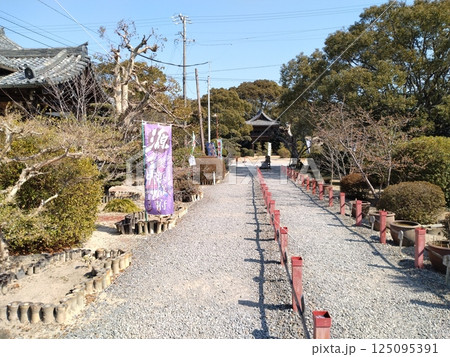 野間大坊　本殿　鐘楼堂　巡拝路　大門　悠紀殿 125095391