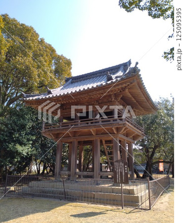 野間大坊 本殿 鐘楼堂 巡拝路 大門 悠紀殿 野間大坊 本殿 鐘楼堂 巡拝路 大門 悠紀殿 125095395