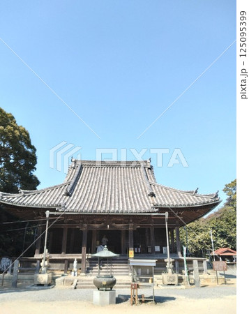 野間大坊 本殿 鐘楼堂 巡拝路 大門 悠紀殿 野間大坊 本殿 鐘楼堂 巡拝路 大門 悠紀殿 125095399