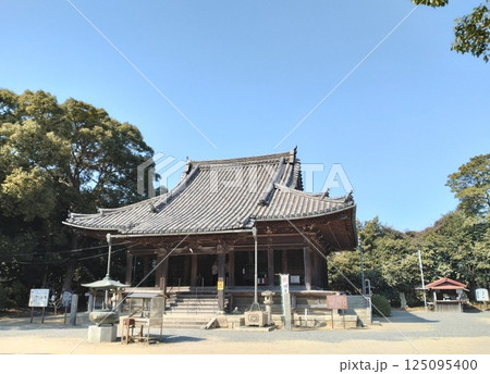 野間大坊 本殿 鐘楼堂 巡拝路 大門 悠紀殿 野間大坊 本殿 鐘楼堂 巡拝路 大門 悠紀殿 125095400