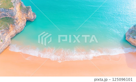 aerial view of sea and beach with coconut palm tree aerial view of sea and beach with coconut palm tree 125096101