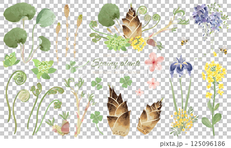 水彩で描いたいろいろな春の植物の素材セット 125096186